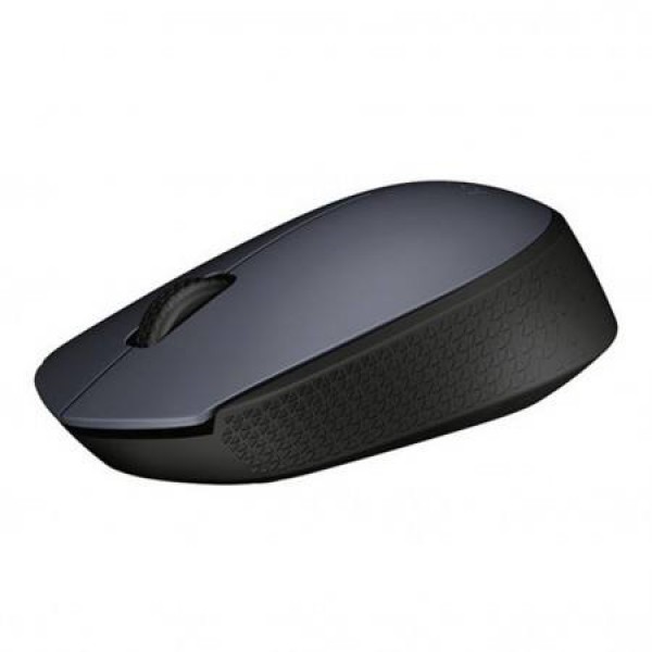 Logitech M170